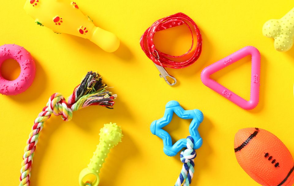 Esposizione di accessori per cani a Messina con guinzagli, giochi e cucce